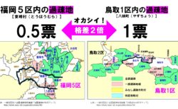 【１人１票裁判（2026衆）】始まりました（全国弁論期日・主張書面・判決文）